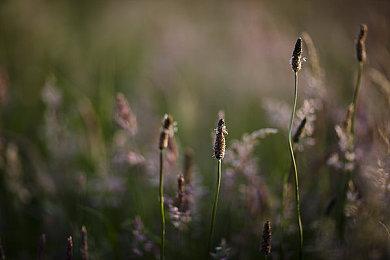 大的来了！《暗黑破坏神4》S10将引入混沌暗金装备